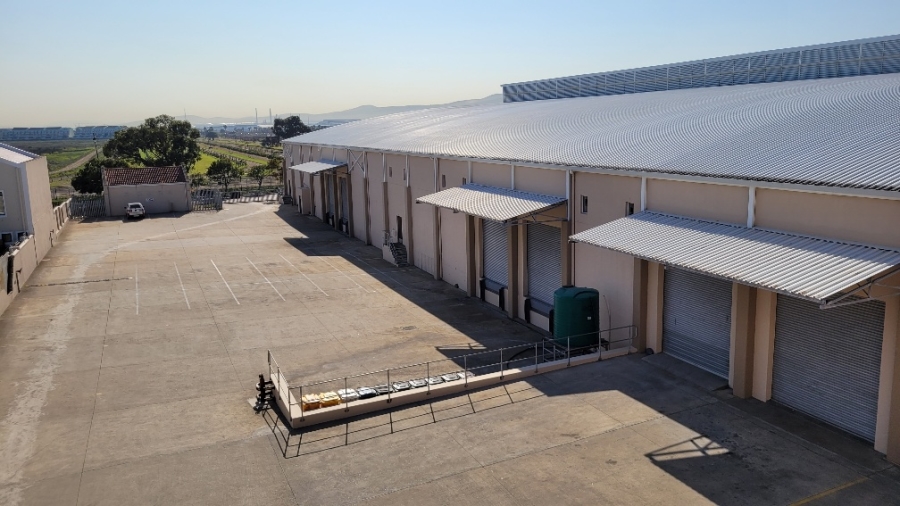 To Let commercial Property for Rent in Montague Gardens Western Cape